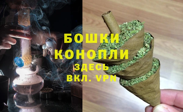 винт Болотное