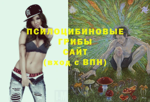 ПСИЛОЦИБИНОВЫЕ ГРИБЫ Нязепетровск