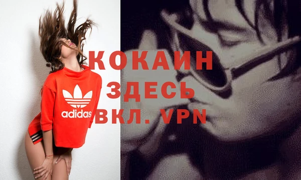 СК Няндома