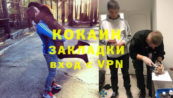гидра Бутурлиновка