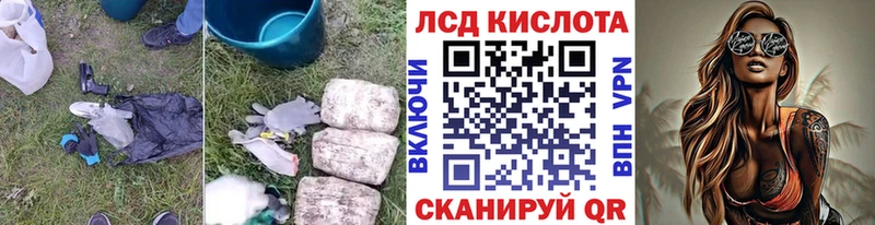 kraken ССЫЛКА  Махачкала  Лсд 25 экстази кислота 