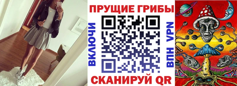 Псилоцибиновые грибы прущие грибы  Махачкала 