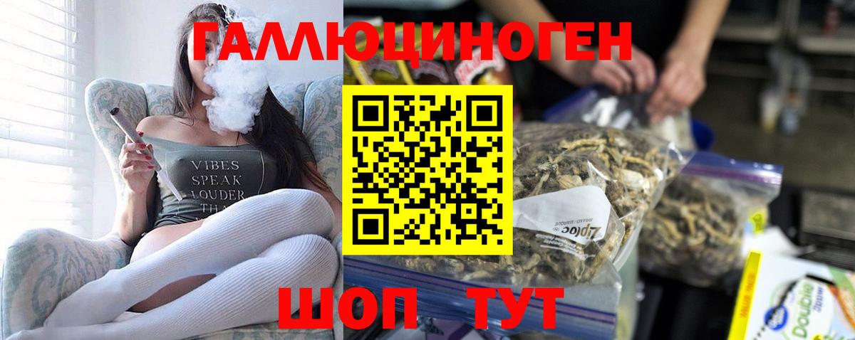 Кокаин  ГАШ  Конопля  Махачкала  А ПВП СК   Меф кристаллы  Вход с VPN  МЕТАМФЕТАМИН 